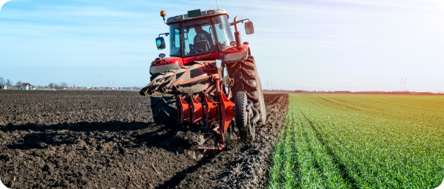 In the image, the agricultural vehicle is spraying plants to protect them from pests and insects.